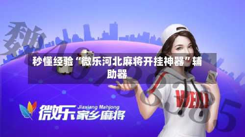 秒懂经验“微乐河北麻将开挂神器”辅助器-第2张图片