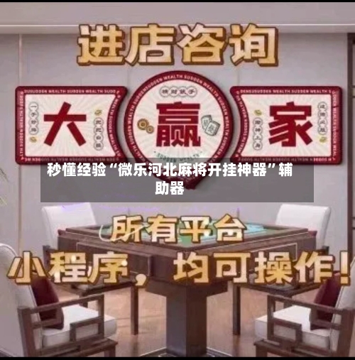 秒懂经验“微乐河北麻将开挂神器”辅助器-第3张图片
