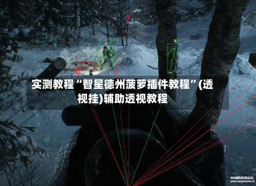 实测教程“智星德州菠萝插件教程”(透视挂)辅助透视教程