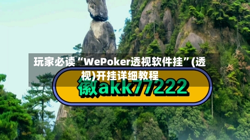 玩家必读“WePoker透视软件挂”(透视)开挂详细教程-第2张图片