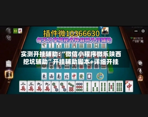 实测开挂辅助:“微信小程序微乐陕西挖坑辅助	”开挂辅助脚本+详细开挂-第2张图片