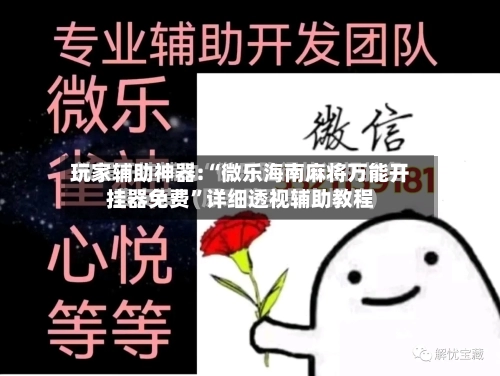 玩家辅助神器:“微乐海南麻将万能开挂器免费	”详细透视辅助教程-第2张图片