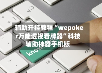 辅助开挂教程“wepoker万能透视看牌器”科技辅助神器手机版-第2张图片