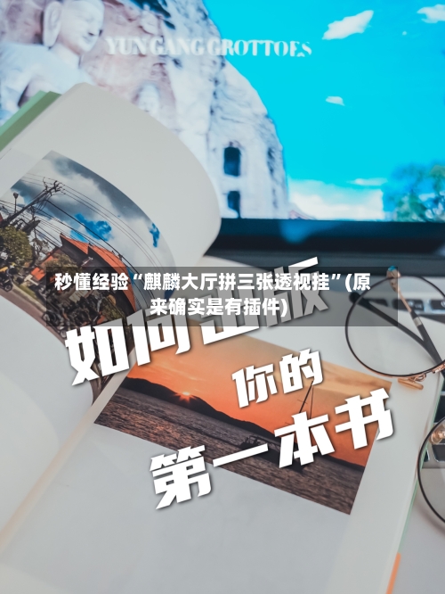 秒懂经验“麒麟大厅拼三张透视挂”(原来确实是有插件)-第2张图片