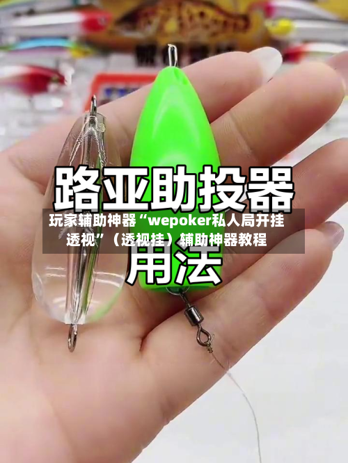 玩家辅助神器“wepoker私人局开挂透视”（透视挂）辅助神器教程-第2张图片