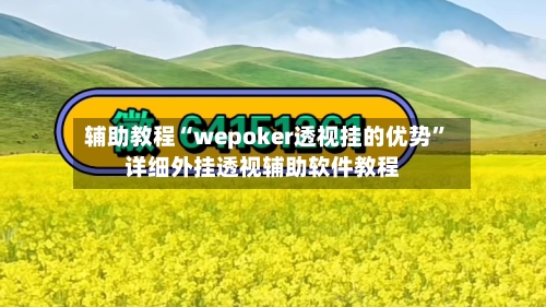辅助教程“wepoker透视挂的优势	”详细外挂透视辅助软件教程-第2张图片