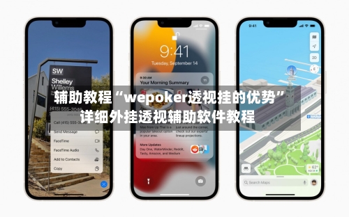 辅助教程“wepoker透视挂的优势”详细外挂透视辅助软件教程-第3张图片
