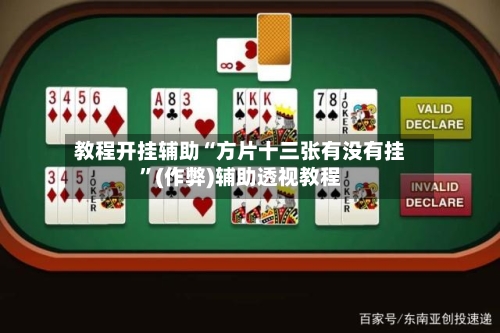 教程开挂辅助“方片十三张有没有挂”(作弊)辅助透视教程-第3张图片