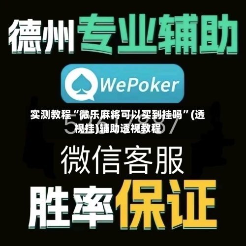 实测教程“微乐麻将可以买到挂吗”(透视挂)辅助透视教程-第2张图片