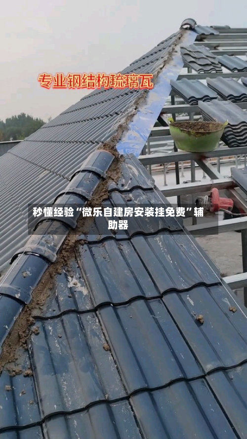 秒懂经验“微乐自建房安装挂免费”辅助器