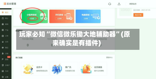 玩家必知“微信微乐锄大地辅助器	”(原来确实是有插件)-第2张图片
