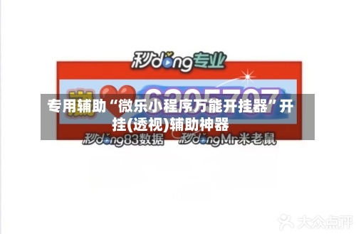 专用辅助“微乐小程序万能开挂器	”开挂(透视)辅助神器-第2张图片