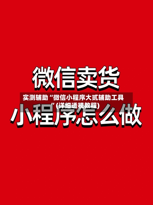 实测辅助“微信小程序大贰辅助工具”(详细透视教程)-第2张图片