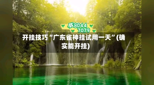 开挂技巧“广东雀神挂试用一天”(确实能开挂)-第2张图片