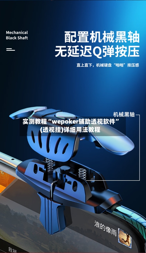 实测教程“wepoker辅助透视软件	”(透视挂)详细用法教程-第2张图片