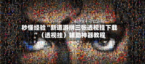 秒懂经验“新道游拼三张透视挂下载”（透视挂）辅助神器教程-第2张图片