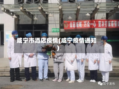 咸宁市酒店疫情(咸宁疫情通知)
