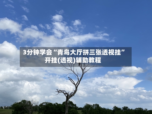 3分钟学会“青鸟大厅拼三张透视挂	”开挂(透视)辅助教程-第2张图片