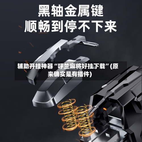 辅助开挂神器“呼兰麻将好挂下载”(原来确实是有插件)-第3张图片