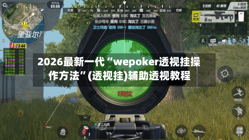 2026最新一代“wepoker透视挂操作方法”(透视挂)辅助透视教程-第3张图片