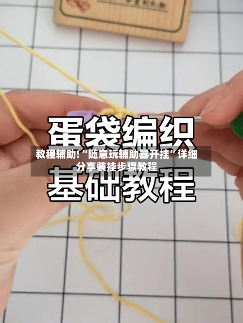 教程辅助!“随意玩辅助器开挂”详细分享装挂步骤教程