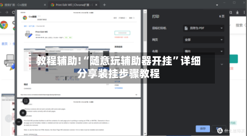 教程辅助!“随意玩辅助器开挂”详细分享装挂步骤教程-第3张图片