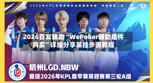 2026首发辅助“WePoker辅助插件购买	”详细分享装挂步骤教程-第2张图片