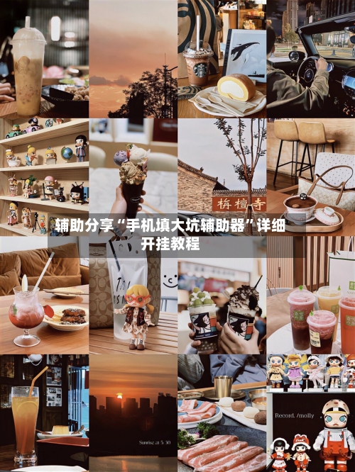 辅助分享“手机填大坑辅助器”详细开挂教程-第3张图片