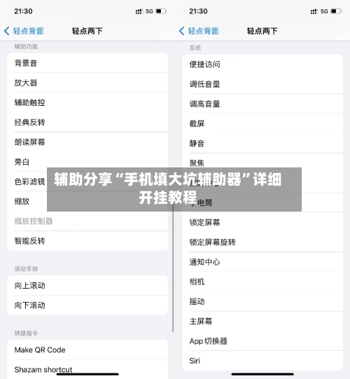 辅助分享“手机填大坑辅助器	”详细开挂教程-第2张图片