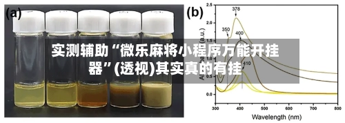 实测辅助“微乐麻将小程序万能开挂器”(透视)其实真的有挂-第2张图片