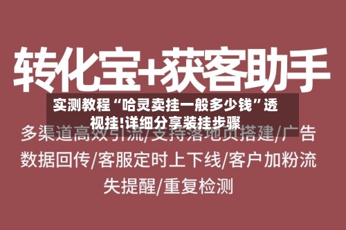 实测教程“哈灵卖挂一般多少钱”透视挂!详细分享装挂步骤-第3张图片