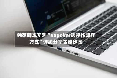 独家脚本实测“aapoker透视作弊挂方式”详细分享装挂步骤-第2张图片
