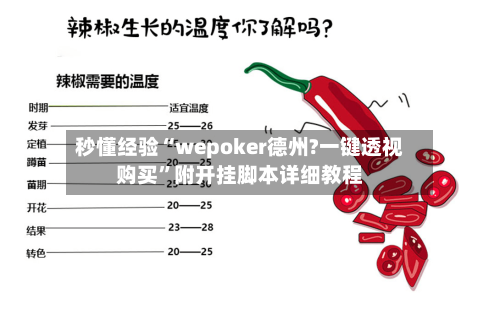秒懂经验“wepoker德州?一键透视购买”附开挂脚本详细教程-第3张图片