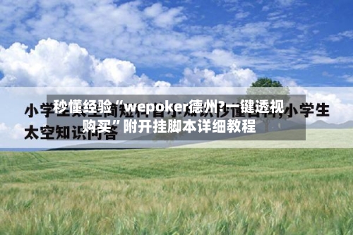 秒懂经验“wepoker德州?一键透视购买”附开挂脚本详细教程-第2张图片