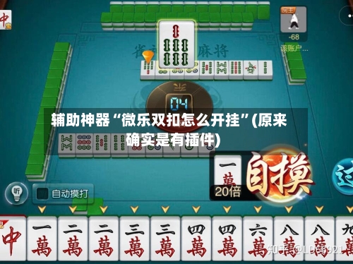 辅助神器“微乐双扣怎么开挂”(原来确实是有插件)-第3张图片