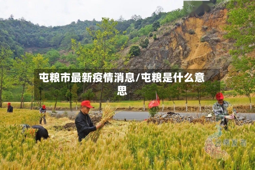 屯粮市最新疫情消息/屯粮是什么意思-第2张图片