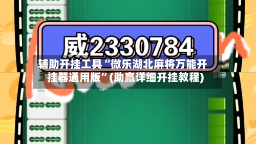 辅助开挂工具“微乐湖北麻将万能开挂器通用版	”(助赢详细开挂教程)-第3张图片