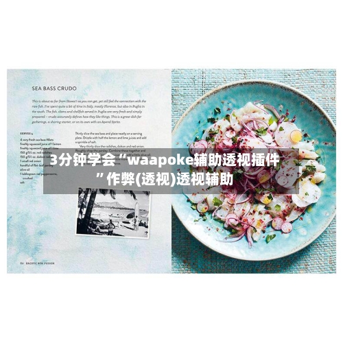 3分钟学会“waapoke辅助透视插件”作弊(透视)透视辅助-第3张图片