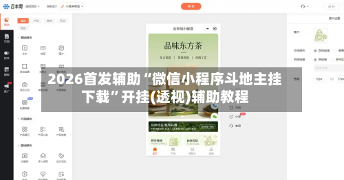 2026首发辅助“微信小程序斗地主挂下载”开挂(透视)辅助教程-第2张图片