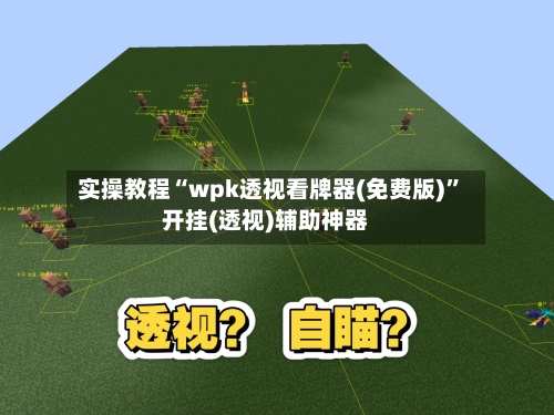 实操教程“wpk透视看牌器(免费版)”开挂(透视)辅助神器-第3张图片