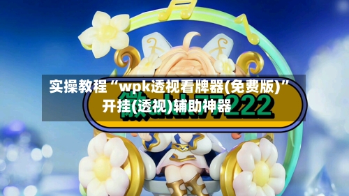 实操教程“wpk透视看牌器(免费版)	”开挂(透视)辅助神器-第2张图片