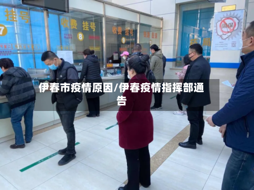 伊春市疫情原因/伊春疫情指挥部通告-第3张图片