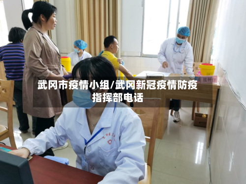 武冈市疫情小组/武冈新冠疫情防疫指挥部电话-第3张图片