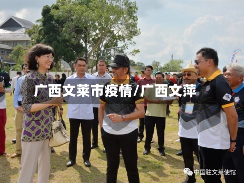 广西文莱市疫情/广西文萍-第2张图片