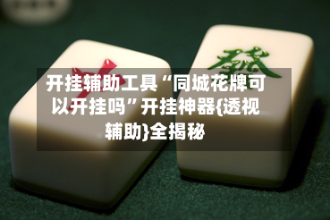开挂辅助工具“同城花牌可以开挂吗”开挂神器{透视辅助}全揭秘