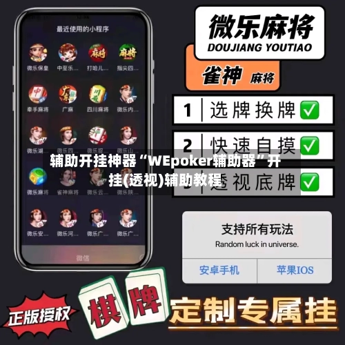 辅助开挂神器“WEpoker辅助器	”开挂(透视)辅助教程-第3张图片