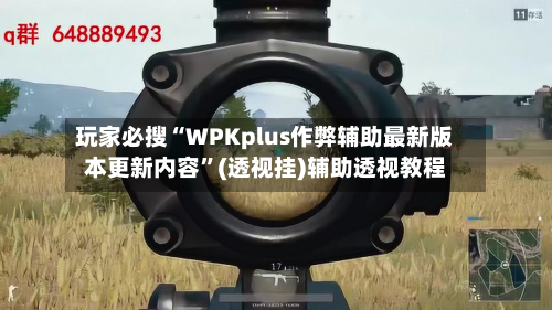 玩家必搜“WPKplus作弊辅助最新版本更新内容”(透视挂)辅助透视教程-第2张图片