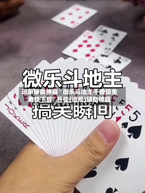 玩家辅助神器“微乐斗地主干瞪眼免费挂下载”开挂(透视)辅助神器-第3张图片