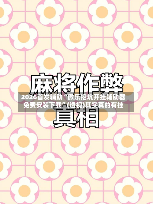 2026首发辅助“微乐挖坑开挂辅助器免费安装下载”(透视)其实真的有挂-第2张图片