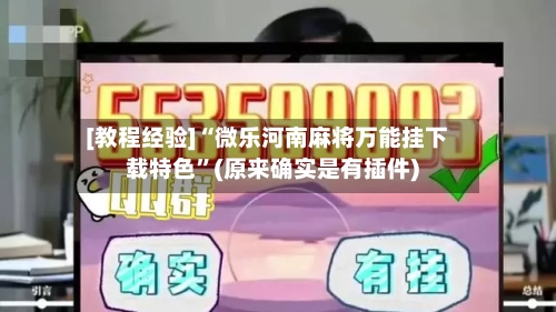 [教程经验]“微乐河南麻将万能挂下载特色”(原来确实是有插件)-第3张图片